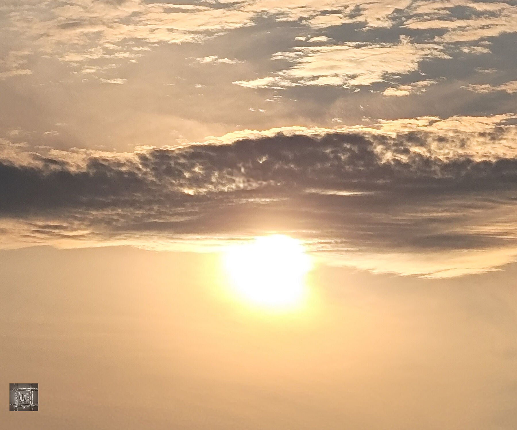 9878891